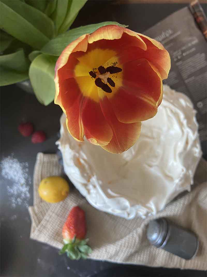 pavlova